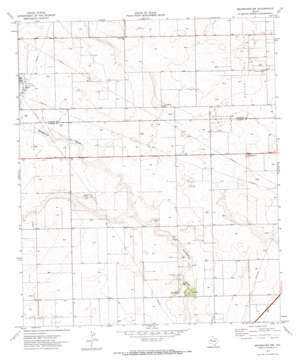 Seagraves Nw USGS topographic map 32102h6