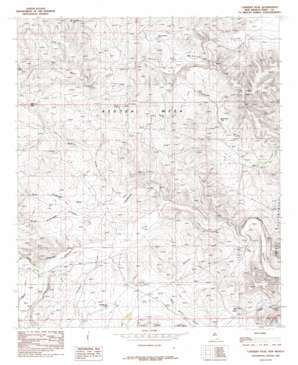 Carnero Peak USGS topographic map 32104c4