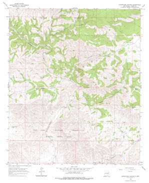 Surveyors Canyon USGS topographic map 32105e5