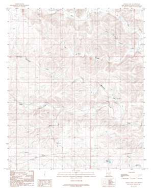 Singer Lake USGS topographic map 32105h1