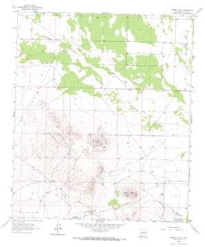 Bisbee Hills USGS topographic map 32107a8