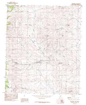 Hillsboro USGS topographic map 32107h5