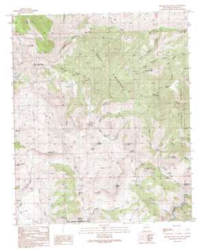 Brushy Mountain USGS topographic map 32108g6