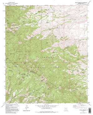 Mount Bigelow USGS topographic map 32110d6