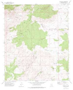 Buford Hill USGS topographic map 32110g2