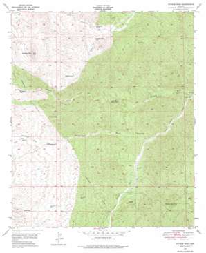 Putnam Wash topo map