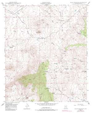 Black Mountain USGS topographic map 32110g8