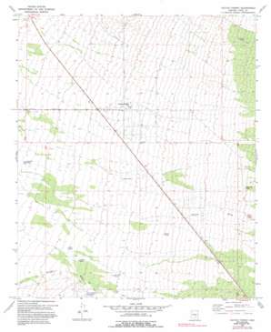 Cactus Forest USGS topographic map 32111h3