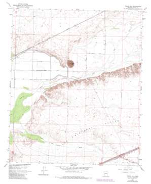 Texas Hill USGS topographic map 32113g6