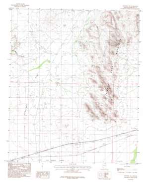 Sentinel Ne USGS topographic map 32113h1