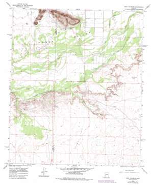 Agua Caliente USGS topographic map 32113h3