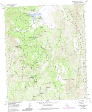 Cuyamaca Peak USGS topographic map 32116h5
