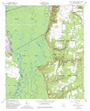 Poinsett State Park USGS topographic map 33080g5