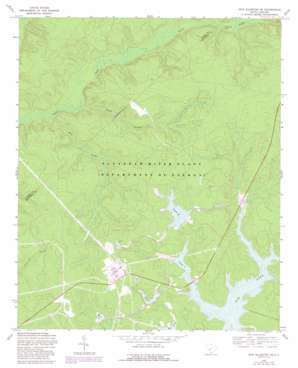 New Ellenton SE USGS topographic map 33081c5