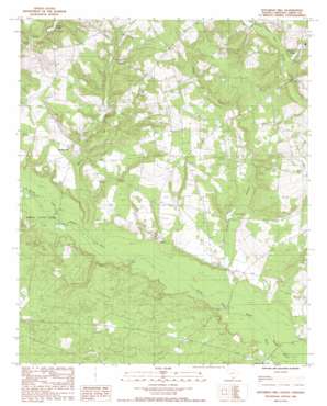 Kitchings Mill USGS topographic map 33081e4