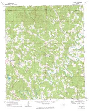 Newell topo map