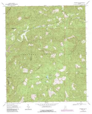 Piedmont SE USGS topographic map 33085g5