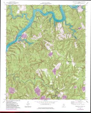 Burchfield Store USGS topographic map 33087d3