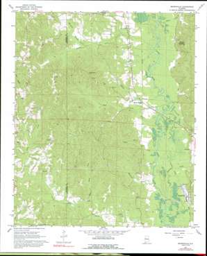 Brownville USGS topographic map 33087d7
