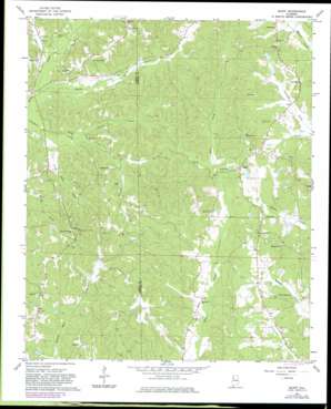 Bluff USGS topographic map 33087g8