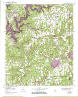 Cold Springs topo map