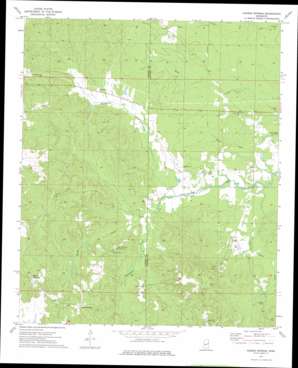 Fearns Springs USGS topographic map 33088a7