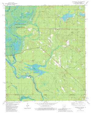 Felsenthal Dam USGS topographic map 33092a1