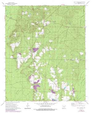 Holly Springs USGS topographic map 33092g6