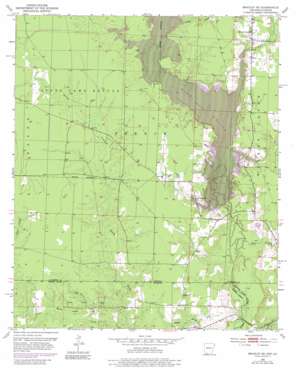 Bradley SE USGS topographic map 33093a5