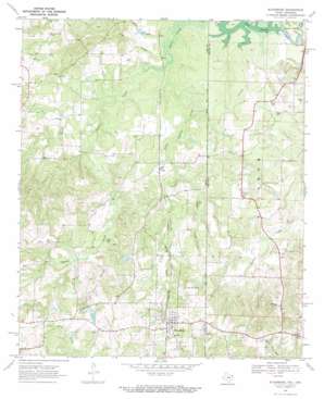 Bloomburg USGS topographic map 33094b1