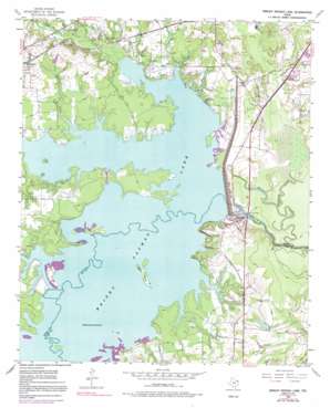 Wright Patman Dam USGS topographic map 33094c2