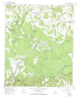 Bassett USGS topographic map 33094c5
