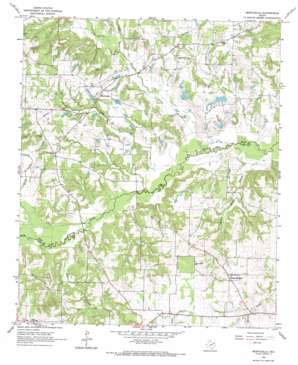 Monticello USGS topographic map 33095a1