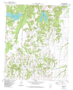 Selfs USGS topographic map 33095f8