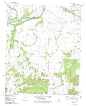 Monkstown USGS topographic map 33095g8