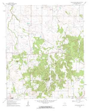 Buzzard Roost Knob USGS topographic map 33097f7