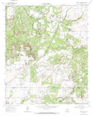 Bobcat Bluff USGS topographic map 33098d6