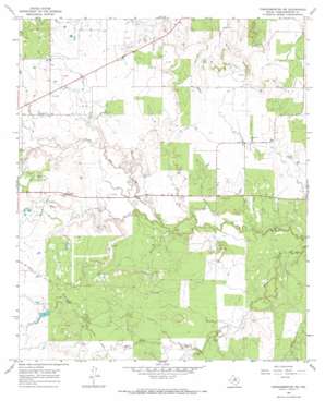 Throckmorton NE USGS topographic map 33099b1