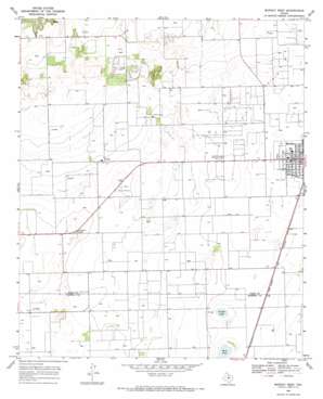 Munday West USGS topographic map 33099d6