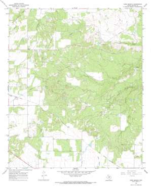 Cope Branch USGS topographic map 33099e1