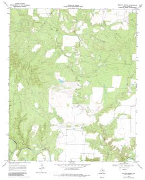 Boiling Spring USGS topographic map 33099h8