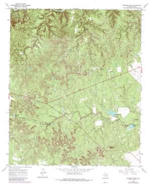 Buzzard Peak USGS topographic map 33100e1