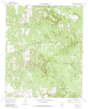 Fourmile Hill USGS topographic map 33100f3