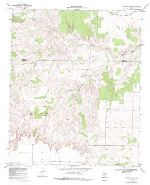 Rustler Camp USGS topographic map 33100g8