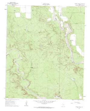 Twomile Creek USGS topographic map 33101c1