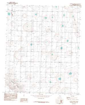 Cotton Center USGS topographic map 33101h8