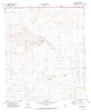 Morton Sw USGS topographic map 33102e8