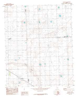 Roundup USGS topographic map 33102g1