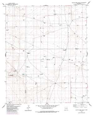 Flying M Ranch USGS topographic map 33103e6