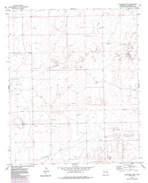 Milnesand NW USGS topographic map 33103f4
